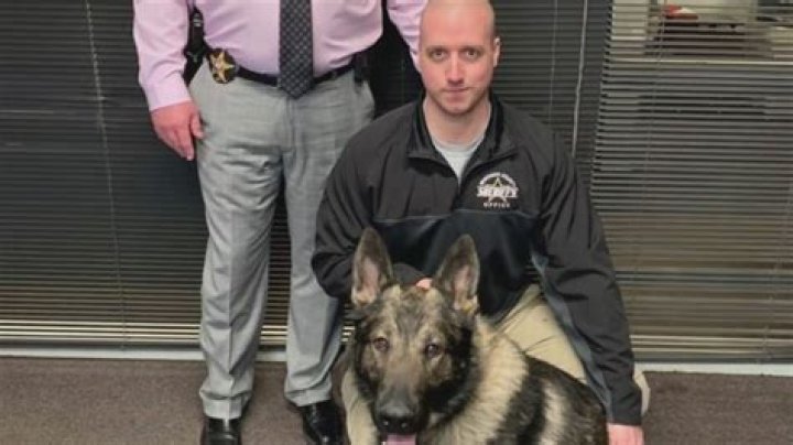 Whiteside County Sheriff’s Office reveals name of wounded deputy, say shooting was accidental friendly fire