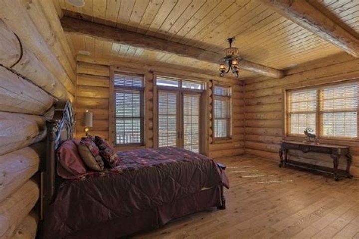 Who is Andrea Correale, the millionairess on Timber Creek Lodge?