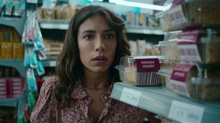 Who Is Erin Carter: 8 Similar Shows You Must See