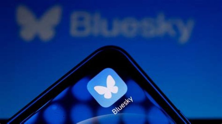 Who owns Blue Orleans?