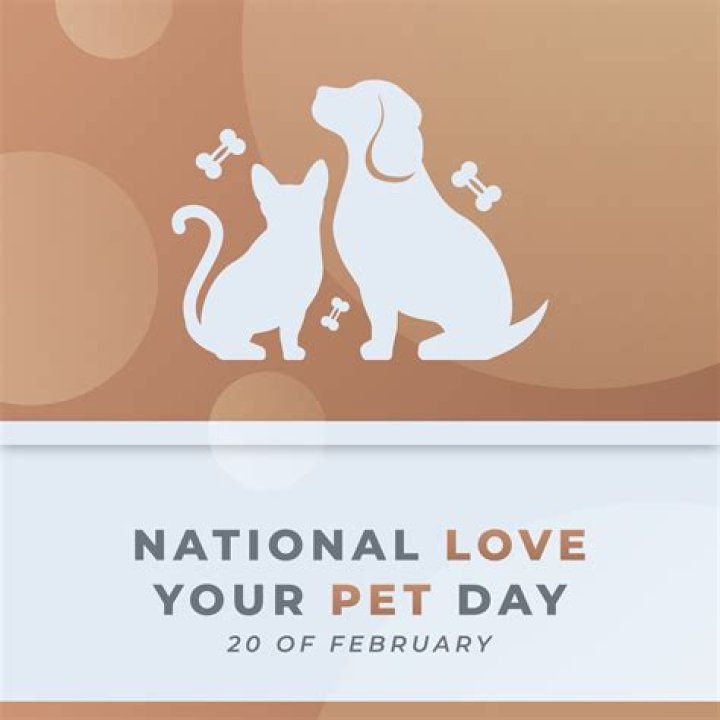 Why is National Love Your Pet Day celebrated? Date, history, significance and more explored