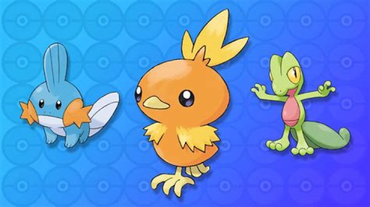 Why Male Torchic Have Butt Dots