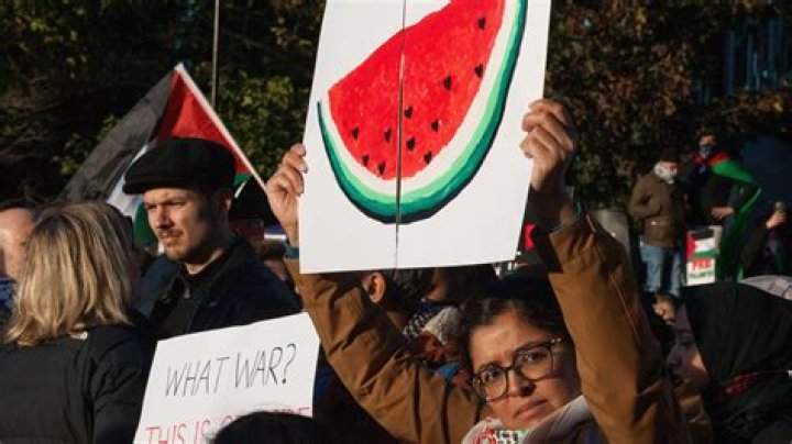 Why the watermelon emoji is used to show support for Palestine on social media