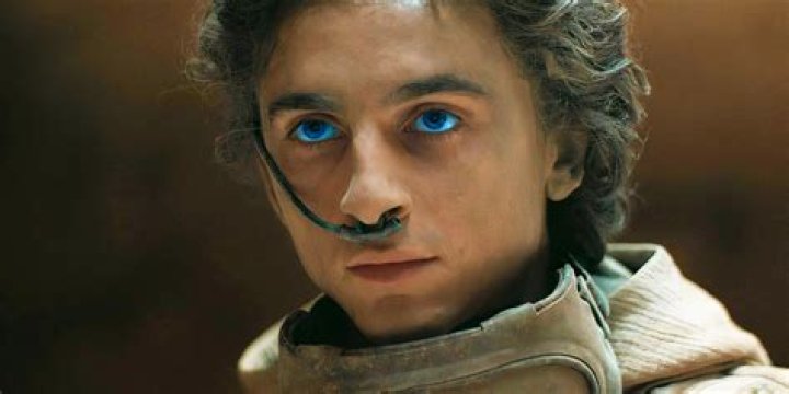 Will there be a Wonka 2? Timothee Chalamet says THIS