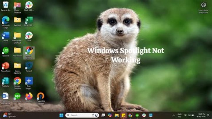 Windows Spotlight Not Working? Here's How to Fix It