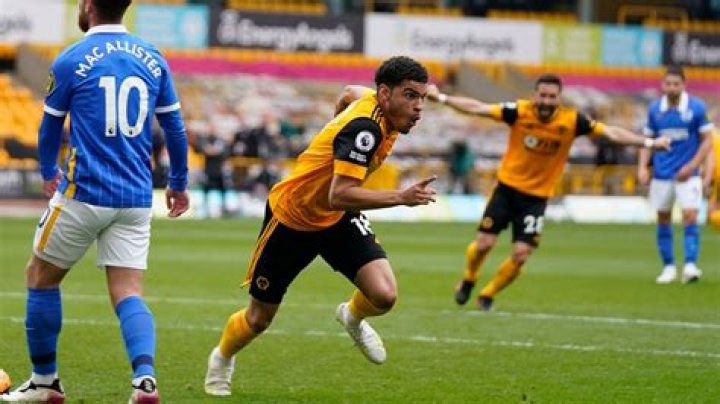 Wolves 2-1 Brighton: White gave Wolves a late win