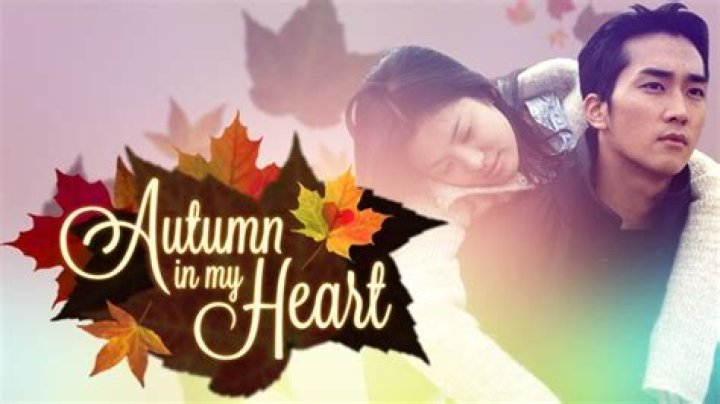 Won Bin movies and TV shows: Autumn in My Heart, The Man from Nowhere and more