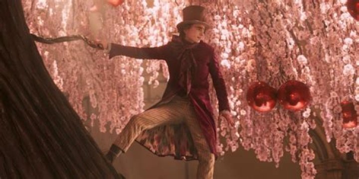 Wonka: 10 Similar Fantasy Movies You Can Feast Your Eyes on