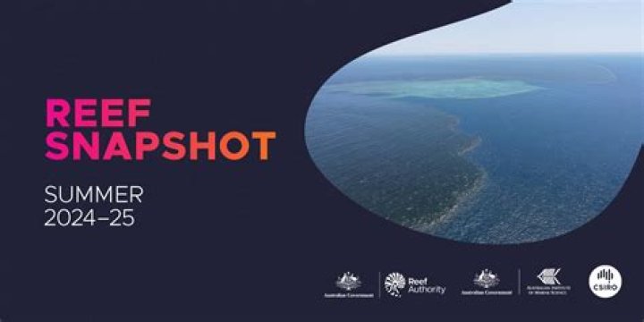 www.reef.gov.sa التسجيل في ريف بالخطوات – تريندات 2024