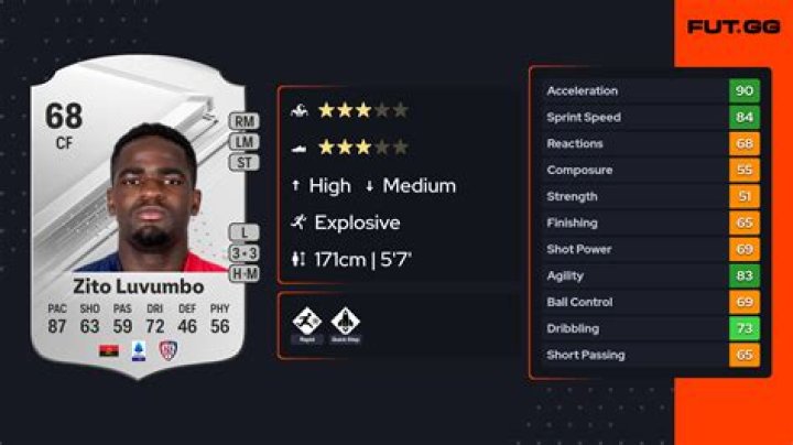 Zito Luvumbo - Player profile 23/24